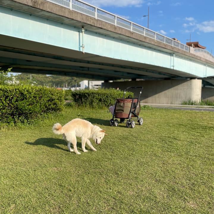 Bd372752 3421 41e0 9320 9a5ce9841d54 1652883009277