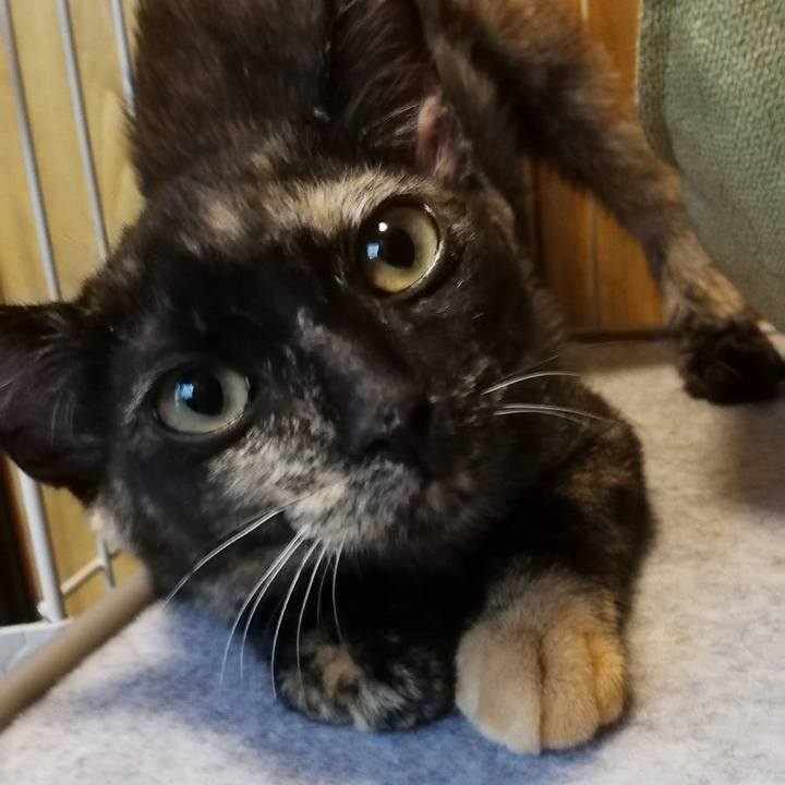 Bd375a89 c0e6 4118 a139 e48d50cc28dd 1629860264793