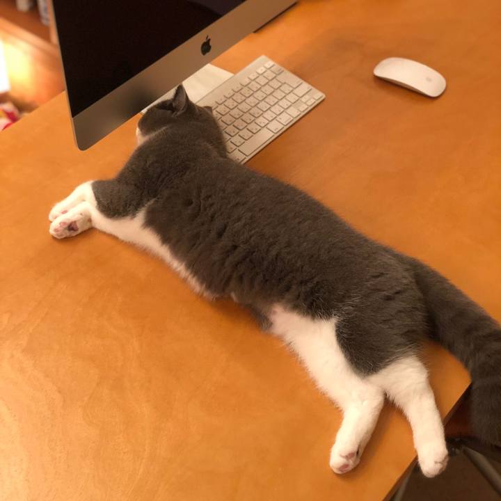 Bd377235 f69f 43a5 886a 626ceaf5539d 1516449839027