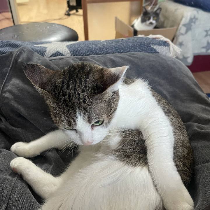 Bd37927b cfac 42b6 9027 fdf5e6ef84b7 1627108130923