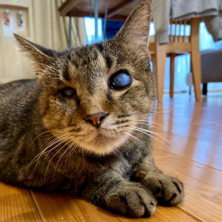 Bd3799fc 8af2 47d2 a9b1 e2c98324bccf 1660786957044