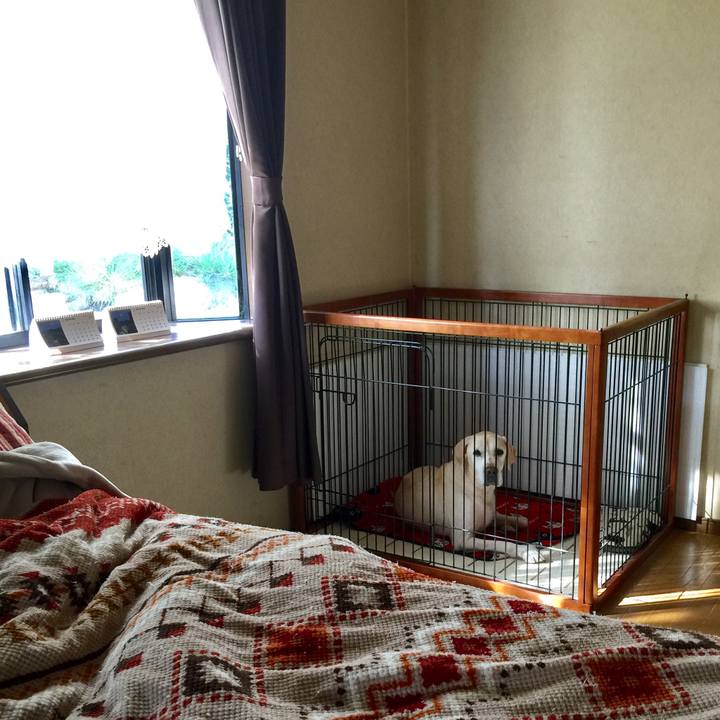 Bd37d1ba a9a2 43c3 8bdc 4e3c4d8e8731 1508200904012