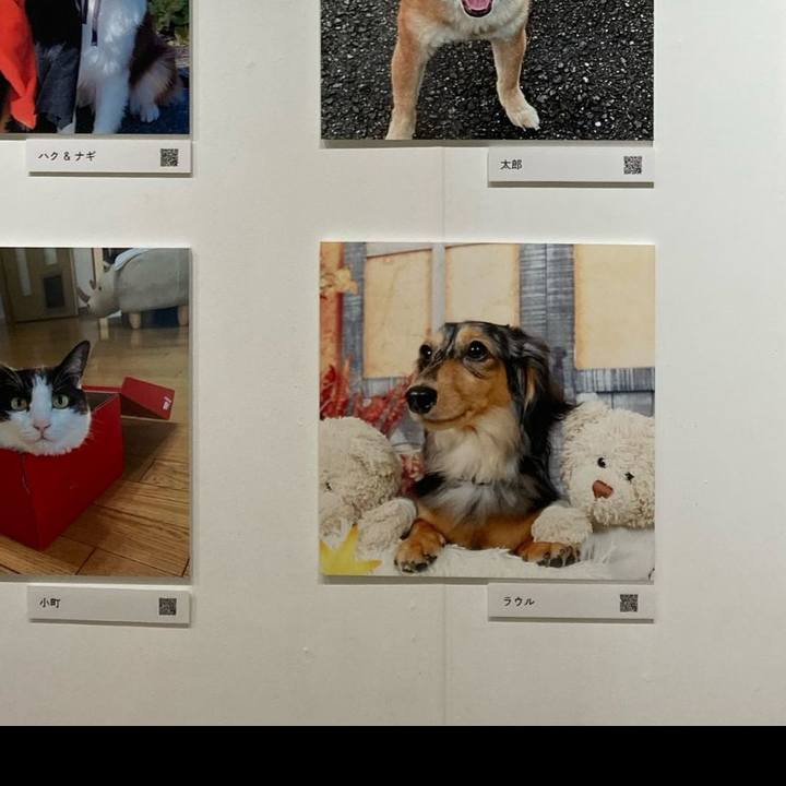 Bd37f5eb ad63 4cf9 bfc3 3cc3d16b5f38 1762166012641