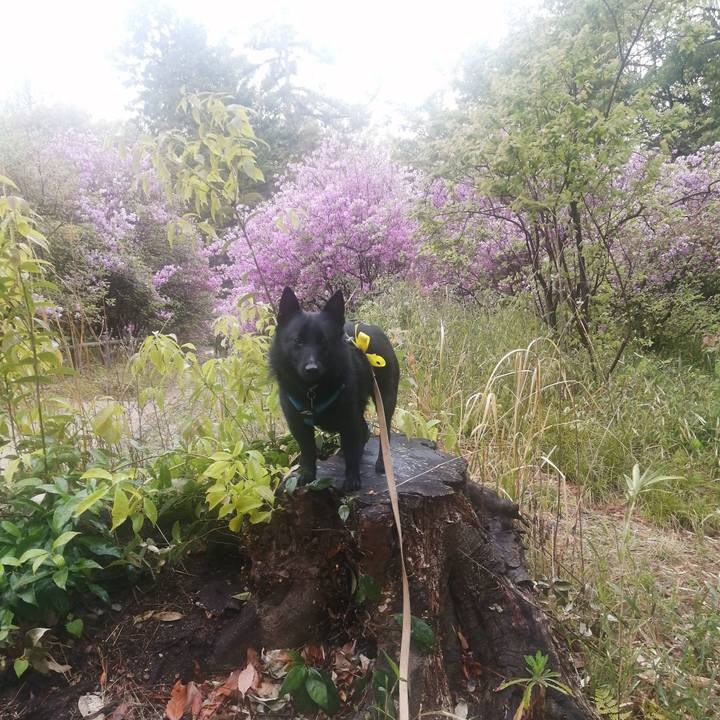 Bd37fa78 71e7 4eb5 b7cb bb9193bf2cb2 1649886763483