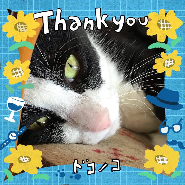 Bd37faa3 b31a 425c 9d55 6305f9d1cbfc 1717579454371