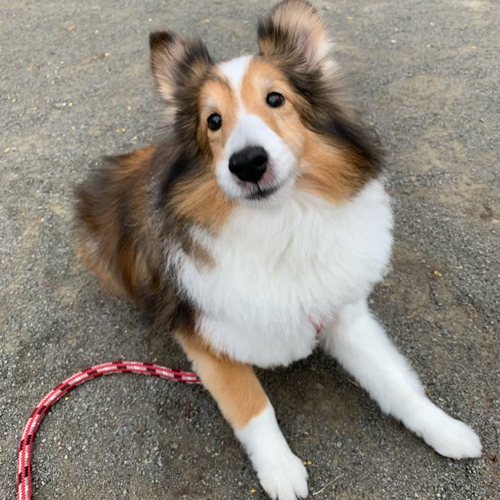 Bd38349e 8a20 4ece 8fa0 d775f7f1fe14 1581757792312