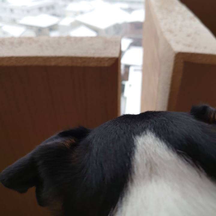 Bd3844cb c27c 424e af1d d5f1be5d346a 1641474709137