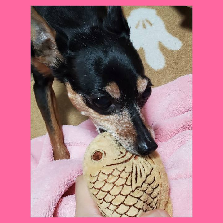 Bd384c31 0e03 4937 9787 6e7d1bae3727 1774161922759