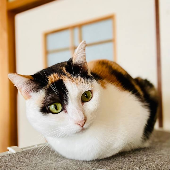 Bd386b94 1016 4db0 8381 77b21482461b 1609899689288