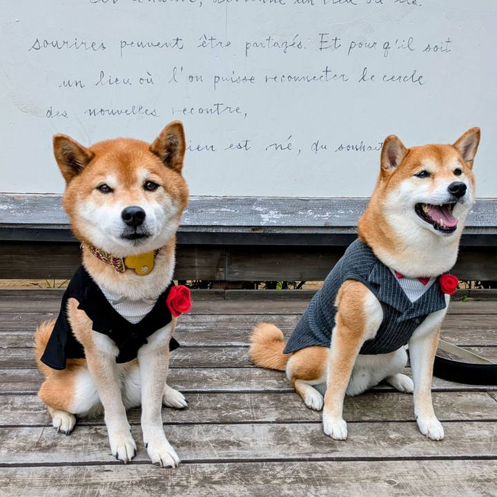 Bd3875c7 e907 4a9f bdeb b193f78bbe41 1748491893820