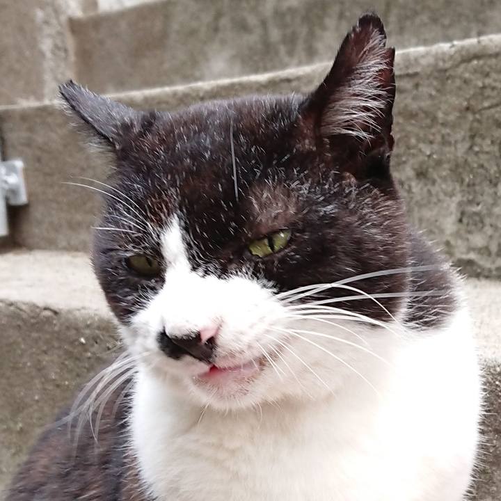 Bd38f3c0 28ff 45fe ad07 a8398f9735a3 1657352293680