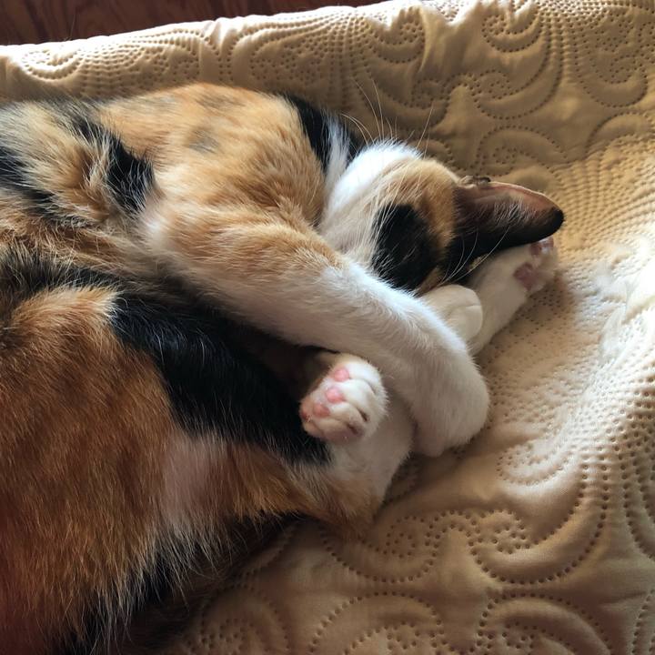 Bd38f840 2612 4c01 ab47 6898bd31621d 1575096804028