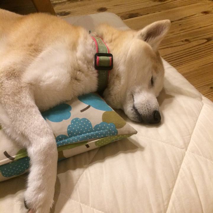 Bd39121e e2d2 4c47 89e1 36b20f54feed 1548595822724