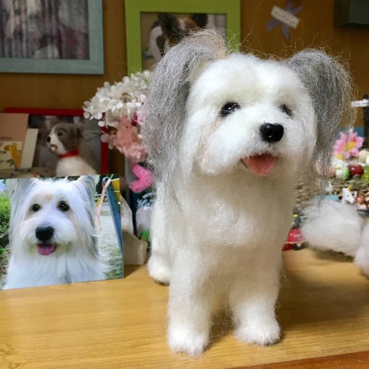 Bd392666 5e12 4950 ab97 e24ea30b0105 1569939561318