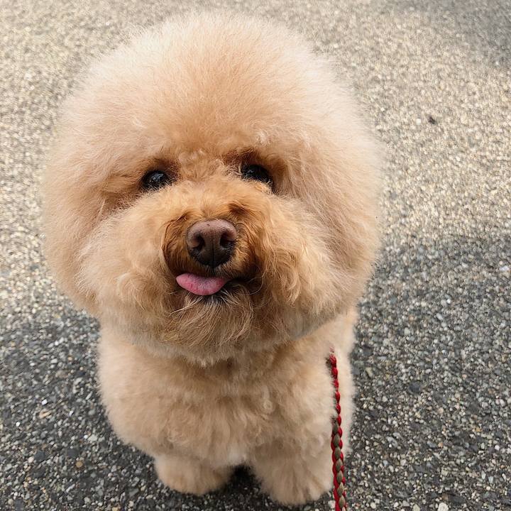 Bd3949b2 d7fc 4dd3 9e3c 92d41601c9ae 1527989949653