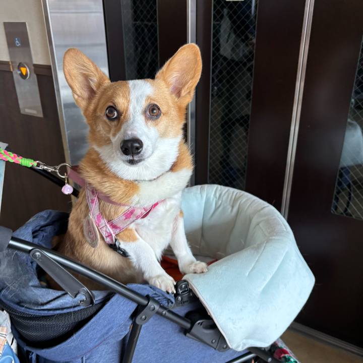 Bd397902 fb43 4310 bd1a 4a3599096897 1766884289780