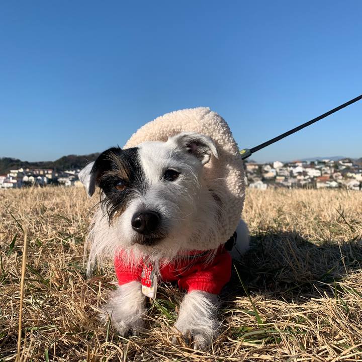 Bd3980d1 0587 4cbb b919 0666e01ef675 1703468651108