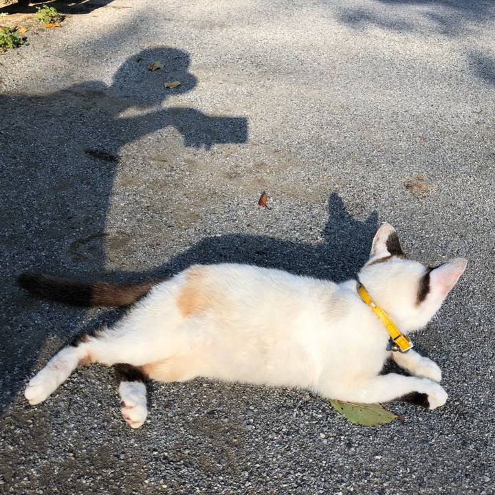 Bd39bbca 45c9 4df9 9c1c 8c0fd4560ee1 1638012470571