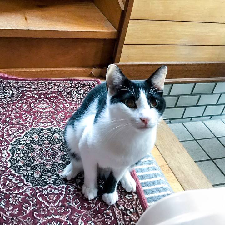 Bd39de23 42ee 43b6 a93b 101c269b9b2a 1509631161178