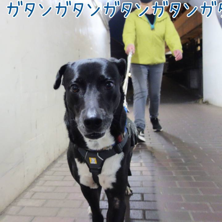 Bd3a06ce 0d48 4873 b94c a3a26f6fec18 1647428192532