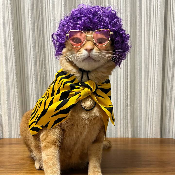 Bd3a2051 cb91 4a6a af4d 6e4276d98597 1643891389578