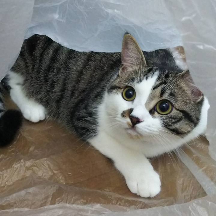 Bd3a20d6 c603 4d5c b4f6 9bb48c794889 1621515539015