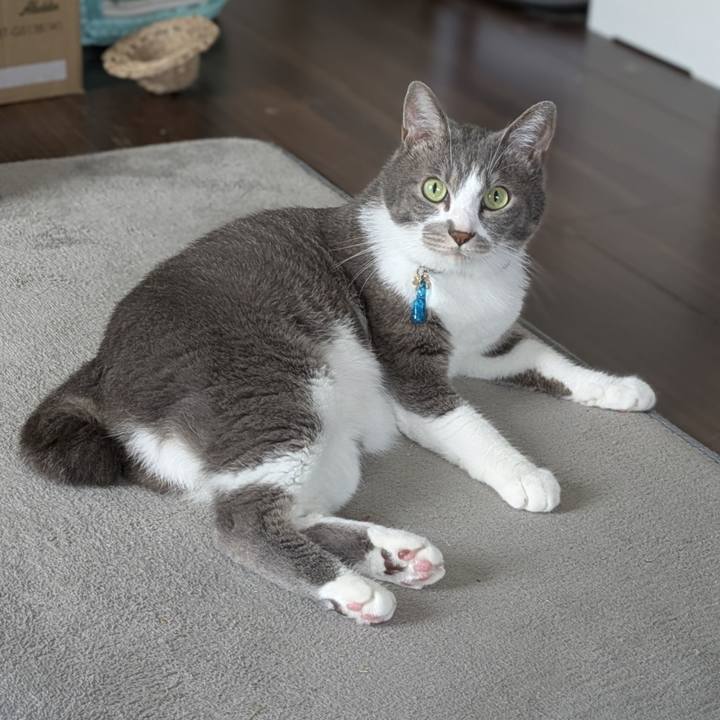 Bd3a2e5d f357 40bf 9a88 b1aeae38e1f3 1756452699642