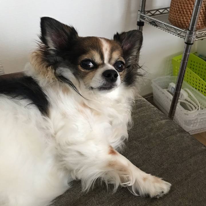 Bd3a5314 dd9a 47b5 86e6 ccba1b7f1b92 1617635248590