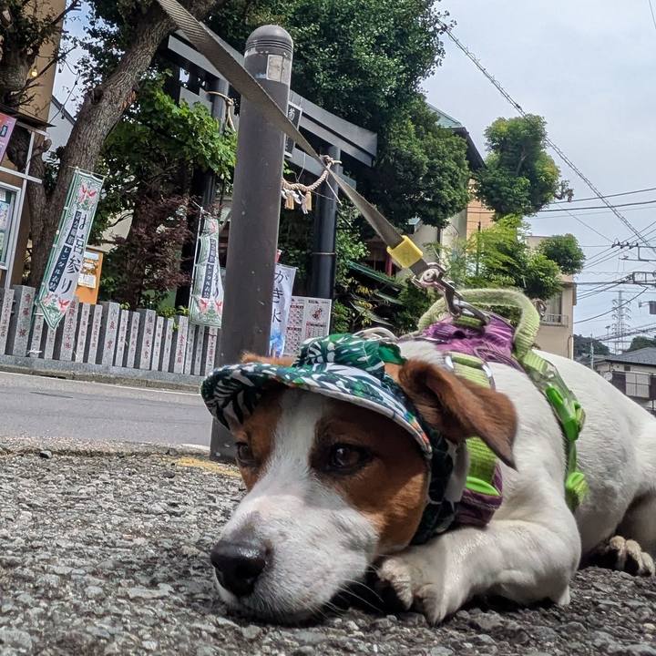 Bd3a6009 987b 4703 b645 df7ed67807e9 1721035965646