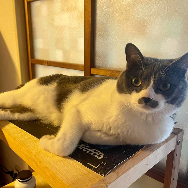 Bd3a6470 a4ed 4971 9284 85fccb8a5667 1646176329707