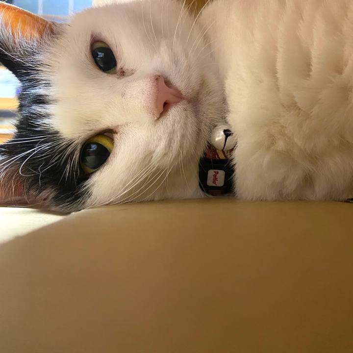 Bd3a6bf8 b160 43bf 892c ea1e1f8c1e53 1652567648691