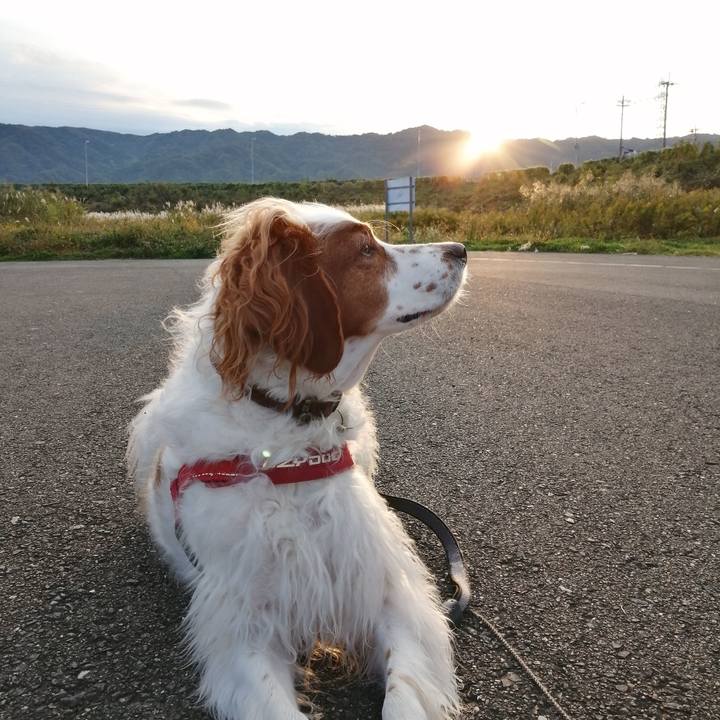 Bd3a870c a3ee 4bd4 bebb 4ce1bb99edc4 1573429608365