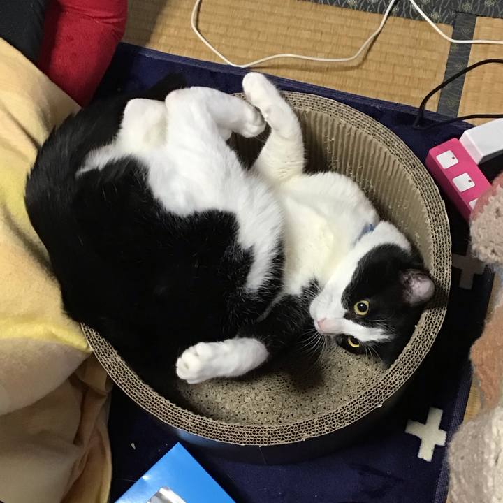 Bd3a9259 28b4 48ec a053 62604a05ab25 1707210681524