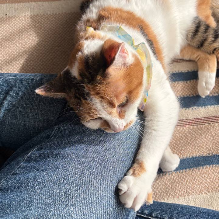 Bd3abad0 f080 432c 940d d1e6935570b3 1771653308785