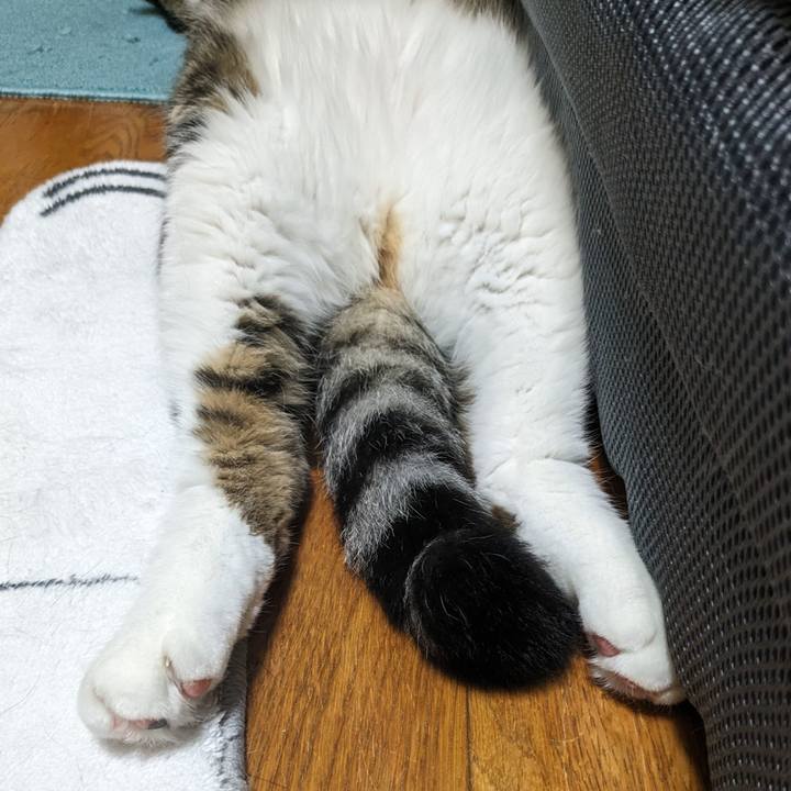 Bd3abf60 ff85 4f05 b8b9 32eb334a395c 1693880785597