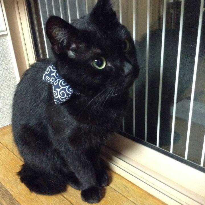 Bd3ac97b d209 4938 90fe a3194d66f418 1536151669533