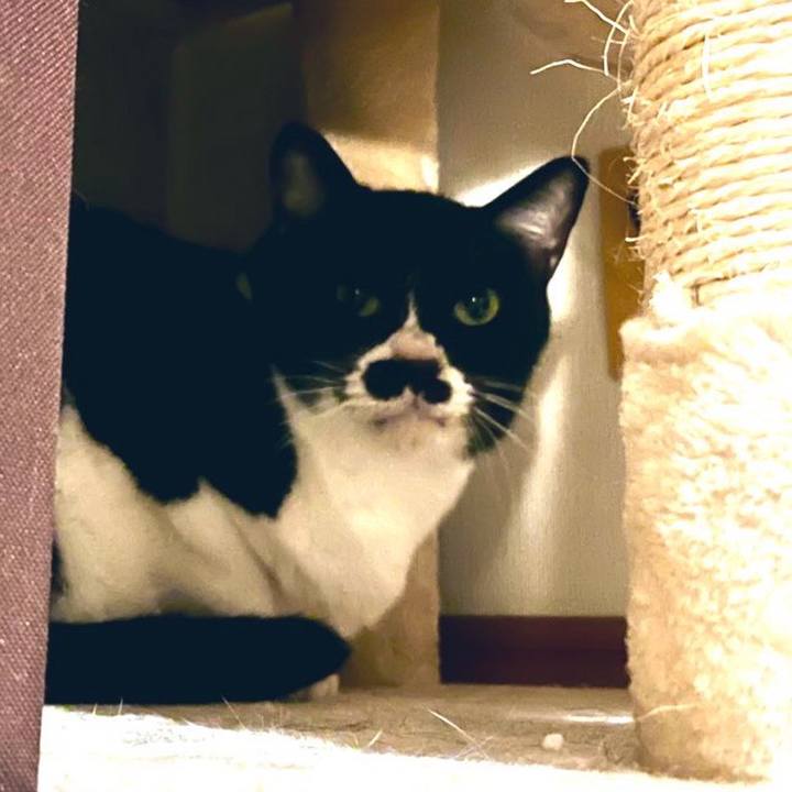 Bd3ad51e 57b1 44f4 9e6b bf54af00824a 1702389612196