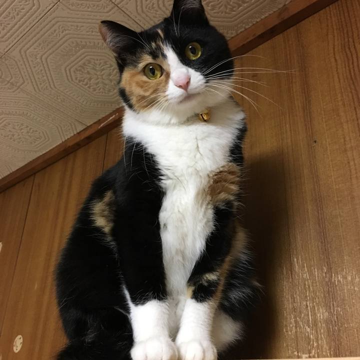 Bd3ae3fd 7900 4481 ab43 1834e8945a93 1513075520348