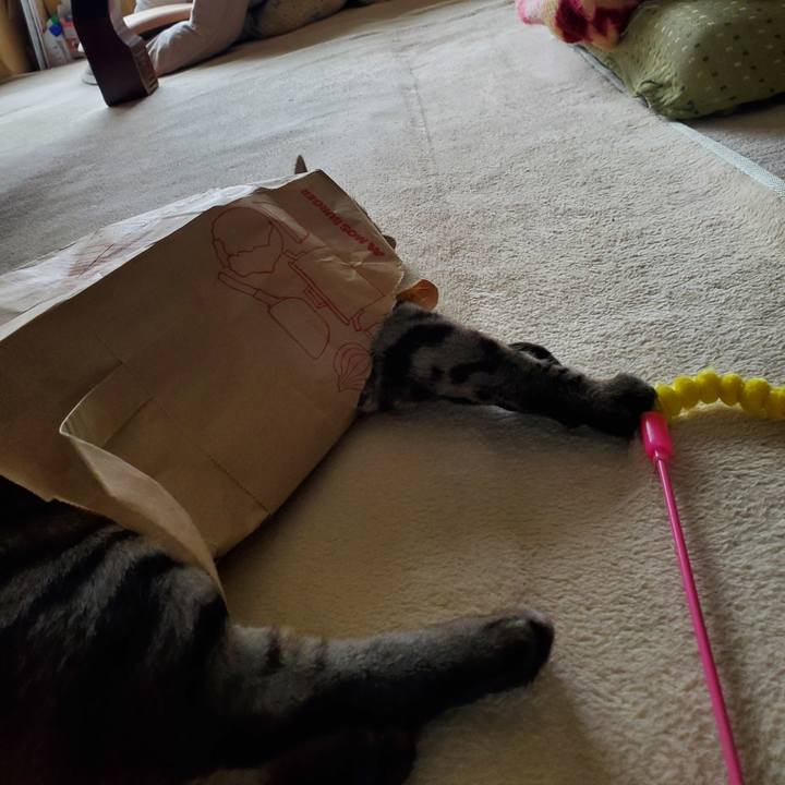 Bd3b84e2 57a8 4df3 9d2a dde6ab0d0a3d 1698590871151