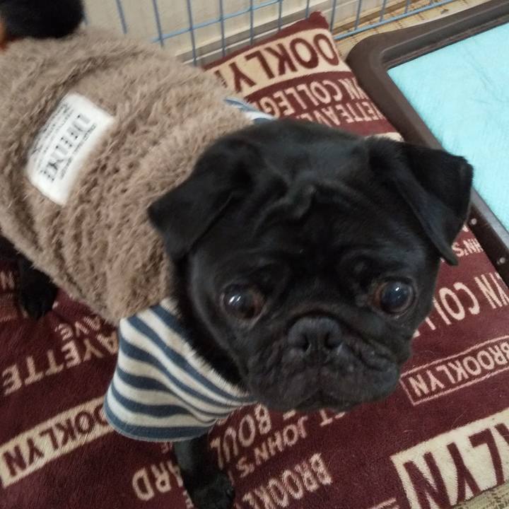 Bd3b98fa e57e 4c93 ad9f f4d08ce0577d 1574394177489