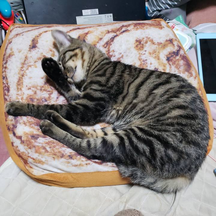 Bd3ba3ad f8a9 4d57 b824 751533a3ba9b 1543671853065