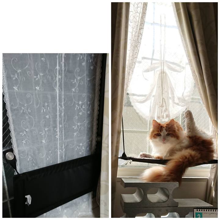 Bd3ba427 c9dc 4826 9fe7 210d8d276a40 1552611128406