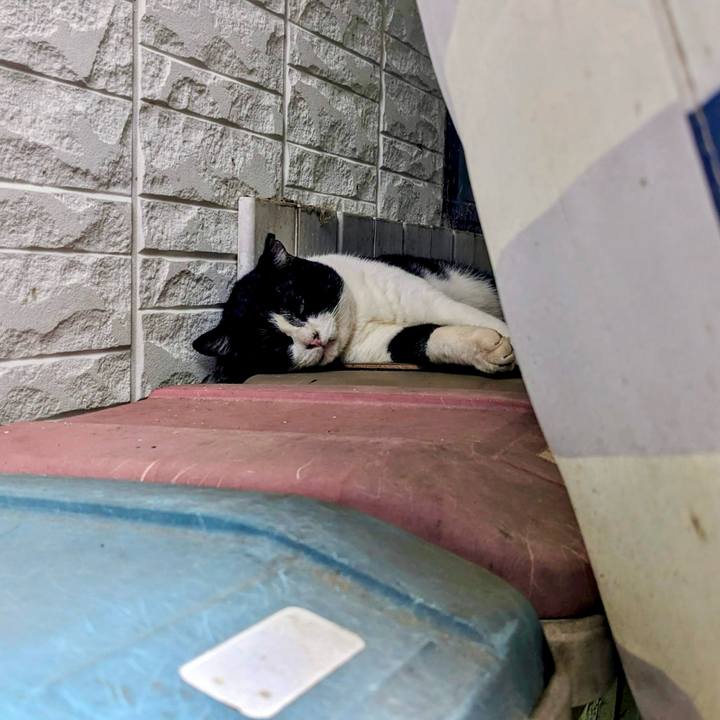 Bd3bb7e8 eb84 4095 bc78 589febf3d1cb 1758791185245