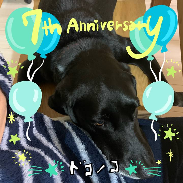 Bd3bc90b 26ff 4f3f a0d7 cd8b58c98c11 1685947505842