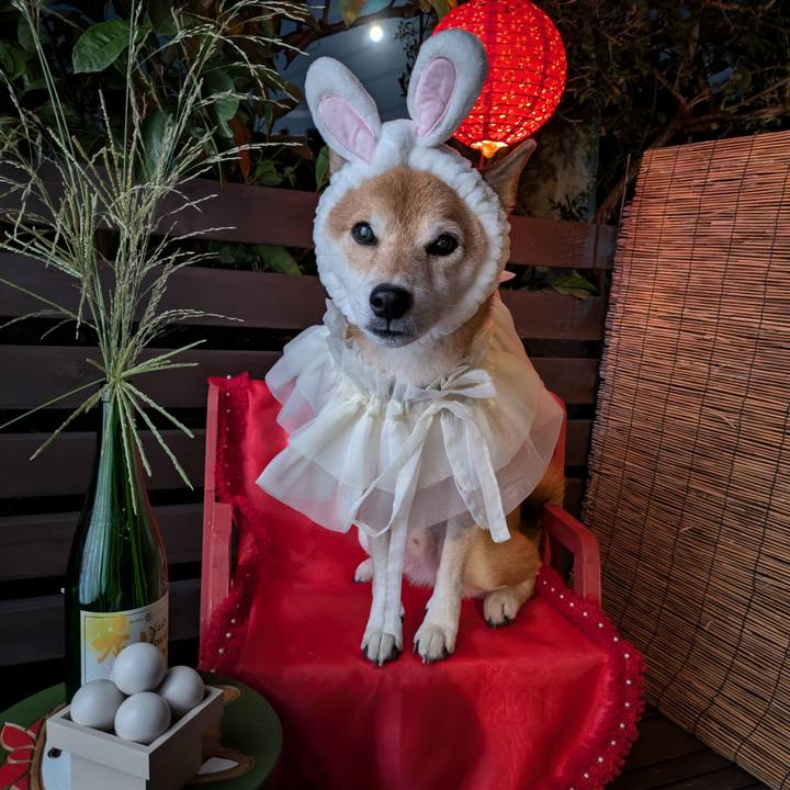 Bd3bf854 0d25 4d22 a658 145fd0de7dd4 1726568469316