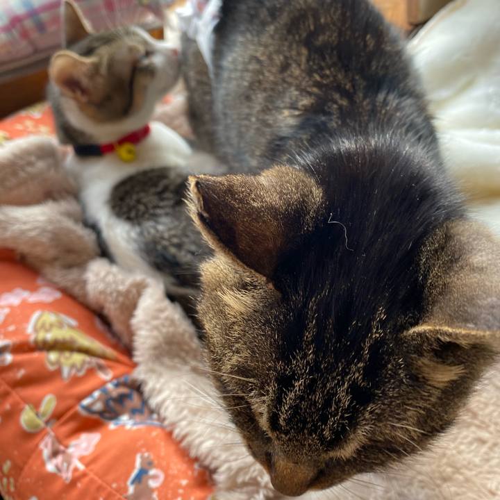 Bd3c9c22 28bf 4003 9d9a 6da2e8d4bea8 1704432005667