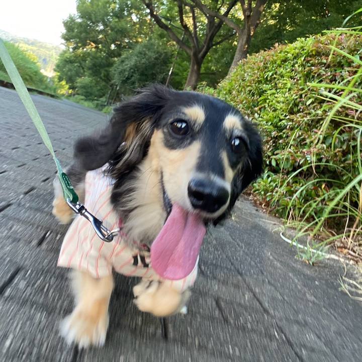 Bd3cac60 4738 430d b50f e1c514a65ec8 1753308658185