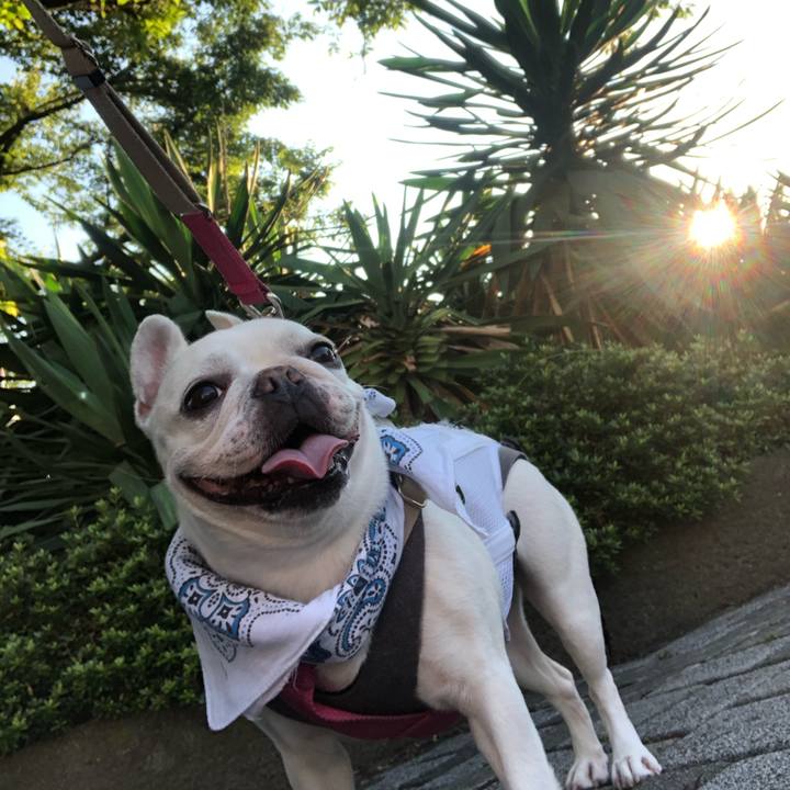 Bd3cfa29 8aac 4bbf b486 0696c08e1279 1592611488450