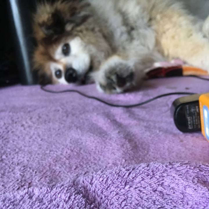 Bd3d2597 e7c1 46ca a32b 12e7779b28e2 1582773198515