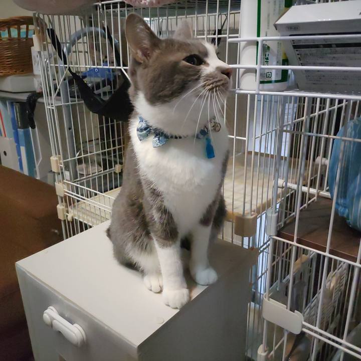 Bd3d3253 be3c 4c3f 92cd dc484ce901f9 1667428502833